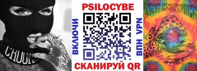 Купить закладки  Сосновый Бор  Галлюциногенные грибы Psilocybine cubensis 