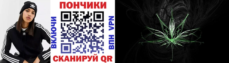 Марихуана Bruce Banner  Купить закладки  Сосновый Бор 